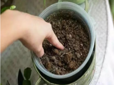 油煙機(jī)流出的廢油，一滴也別倒掉！解決了許多家庭大煩惱！